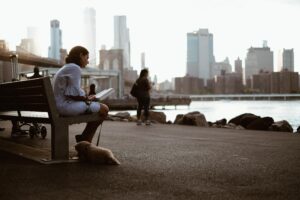 sitting on park bench looking out at skyline